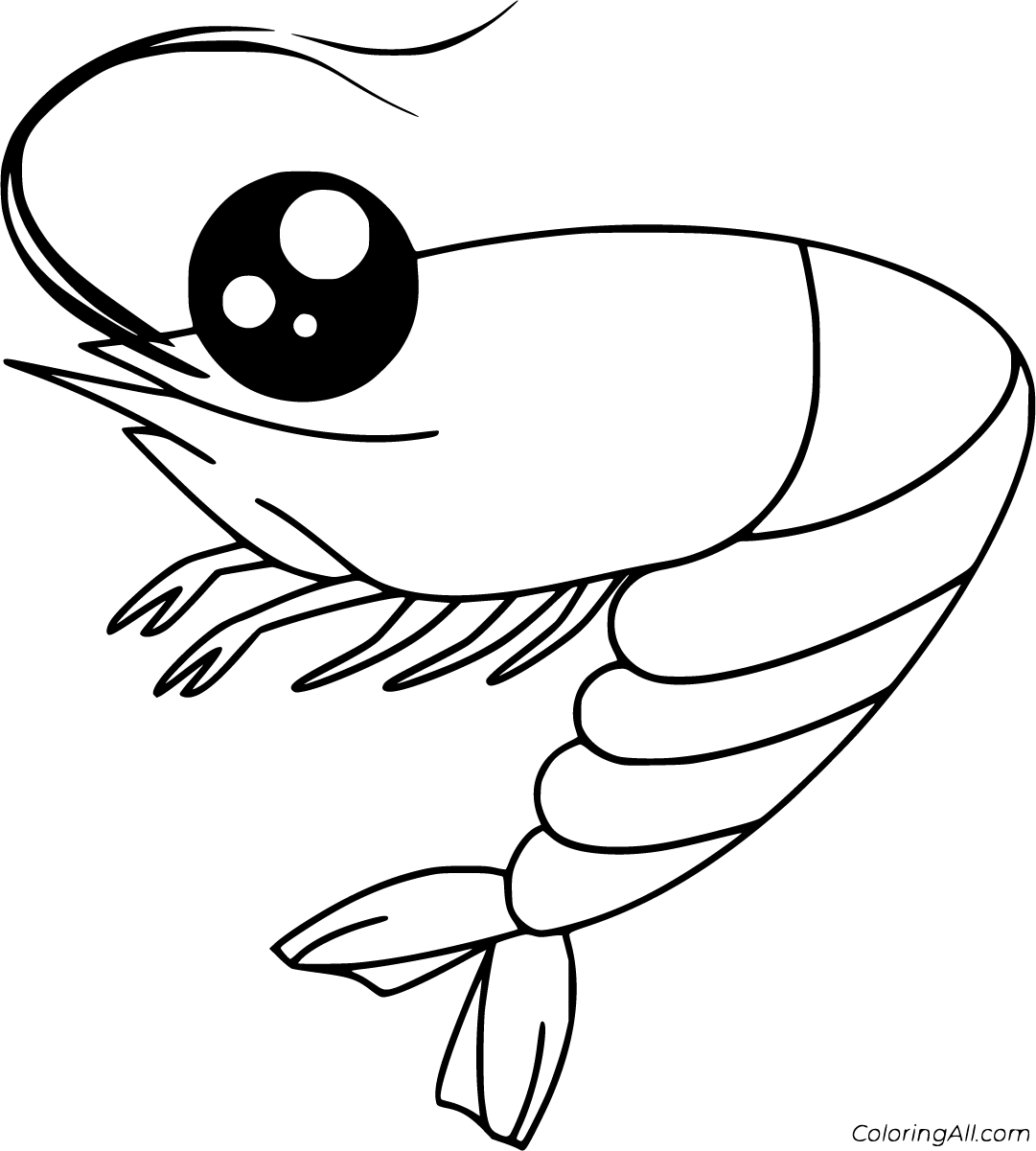 Shrimp coloring pages