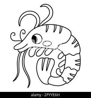 Coloring book for kids shrimp stock vector image art