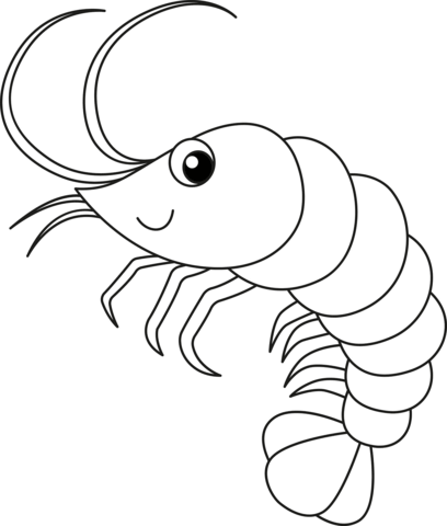Cute shrimp coloring page free printable coloring pages coloring pages easy drawings free printable coloring pages