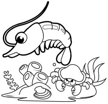 Cool and cute shrimp coloring pages for kids coloring pages for kids coloring pages animal coloring pages