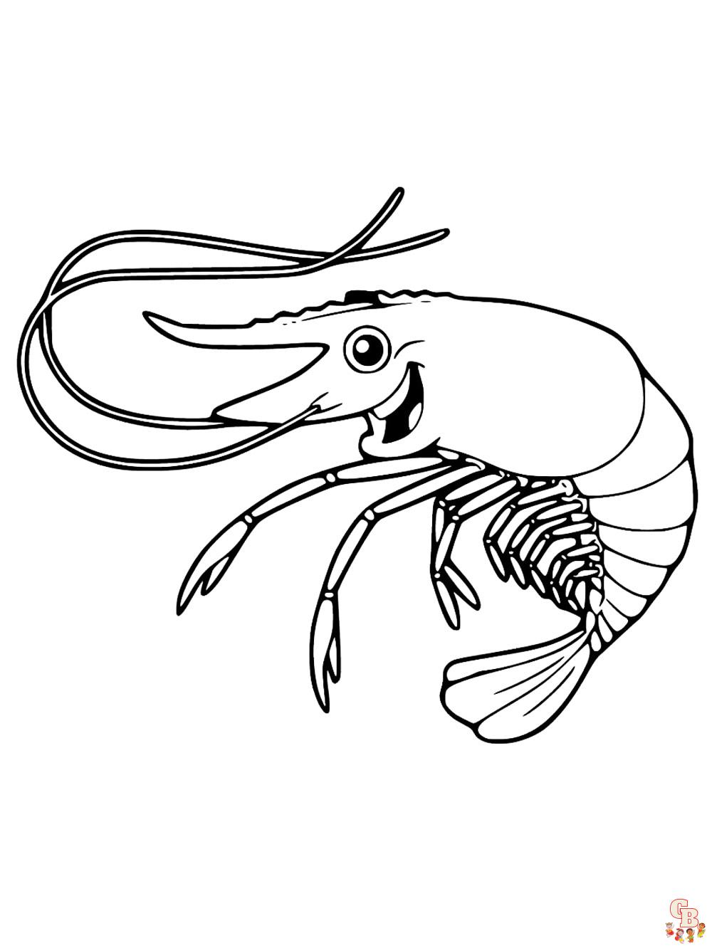 Shrimp coloring pages free printable easy designs for kids