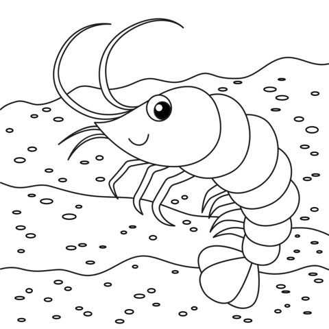 Cute shrimp coloring page free printable coloring pages