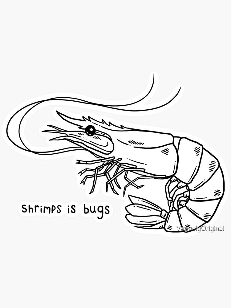 Shrimps is bugs v sticker for sale by vaguelyoriginal