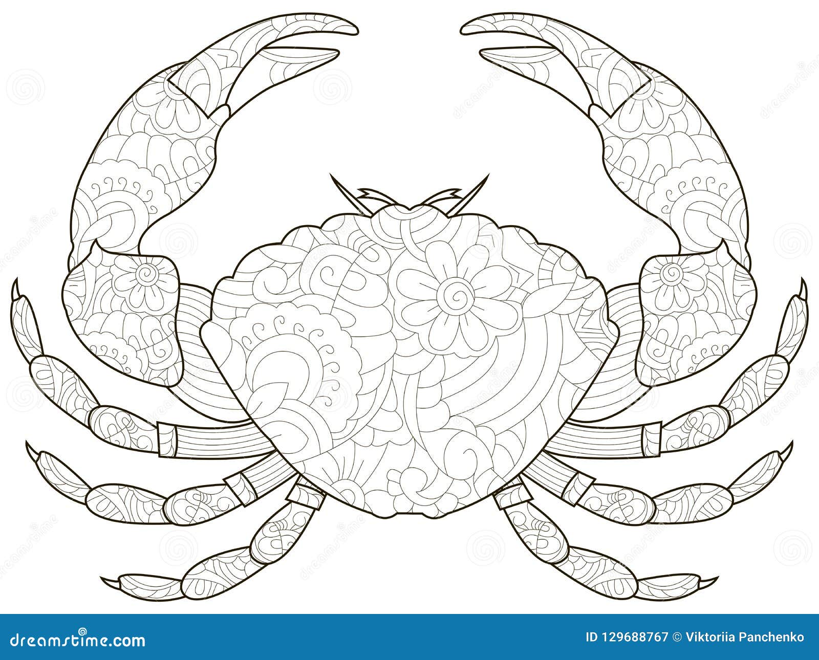 Crab coloring stock illustrations â crab coloring stock illustrations vectors clipart