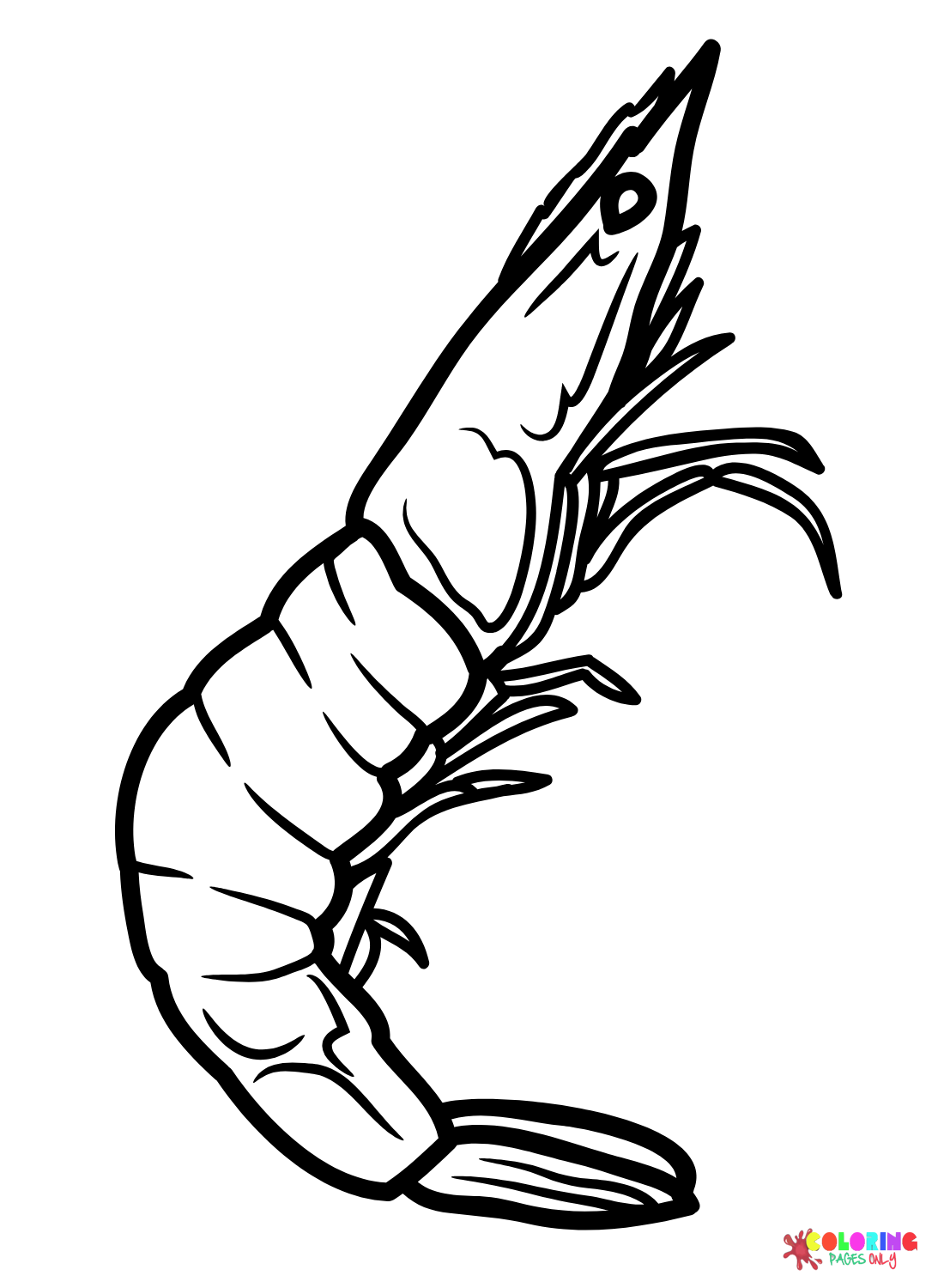 Shrimp coloring pages printable for free download