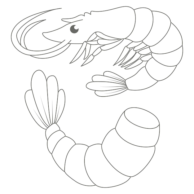 Premium vector shrimp coloring book pages kids coloring pages