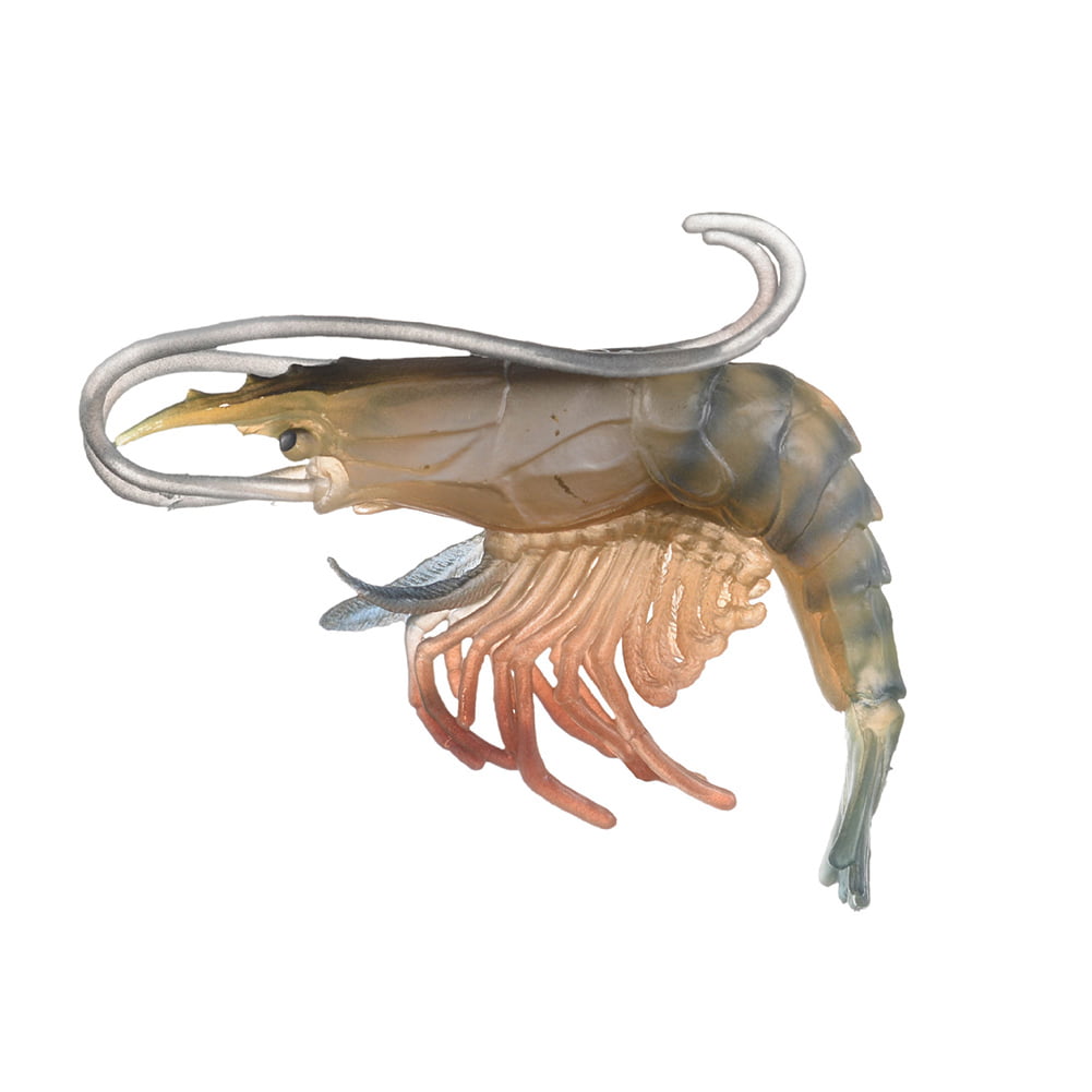 Bigstone high simulation shrimp squid ocean animal model figurine table decor kids toy