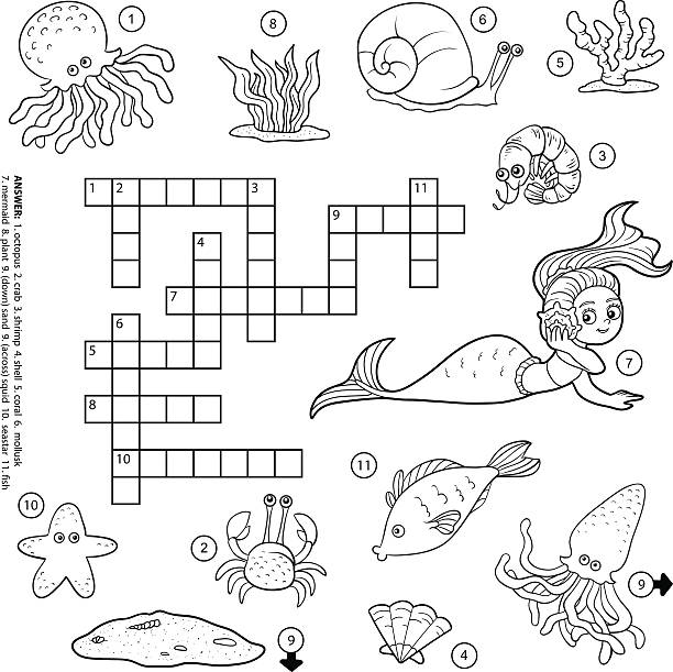 Squid coloring page stock illustrations royalty