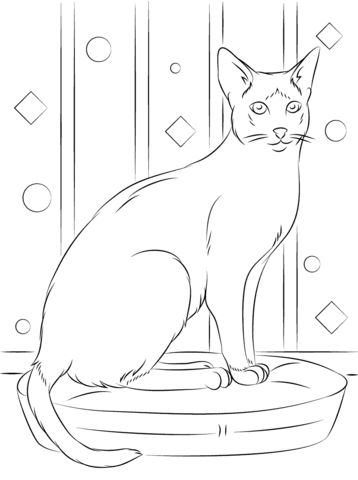 Sitting siamese cat coloring page from cats category select from printable crafts of cartoons natureâ cat coloring page dog coloring page coloring pages
