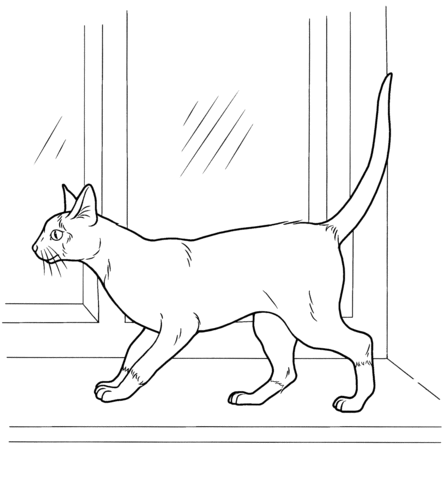 Siamese cat coloring page free printable coloring pages