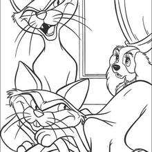 Siamese cats coloring pages