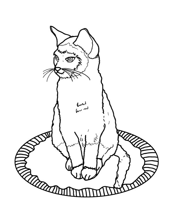 Printable siamese cat coloring page