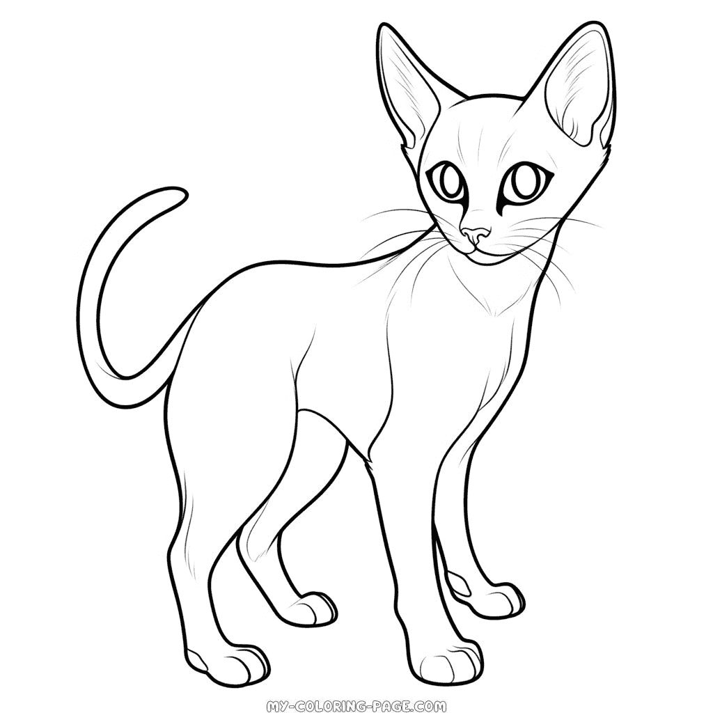 Cute siamese cat coloring page my coloring page