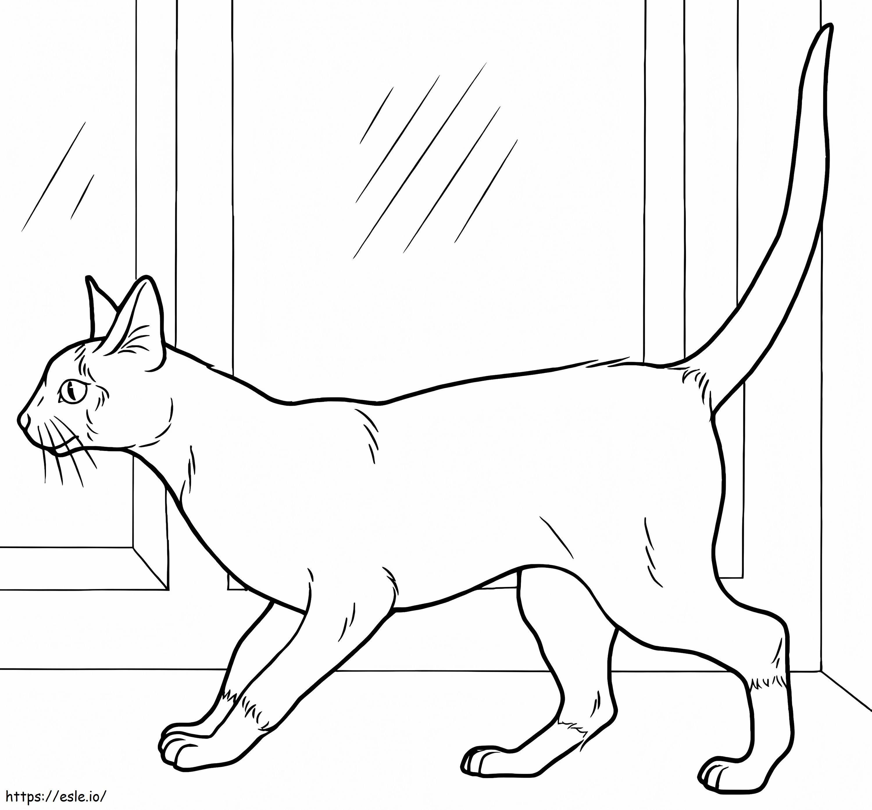 Siamese cat coloring page