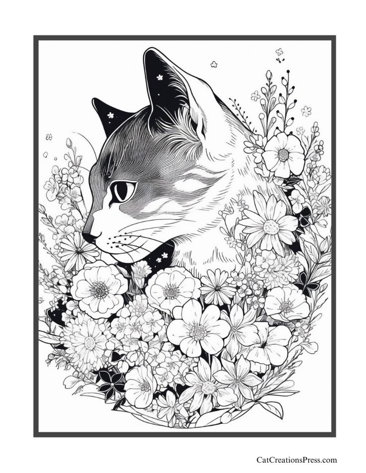Free siamese cat coloring pages cat coloring page cat coloring book cats illustration