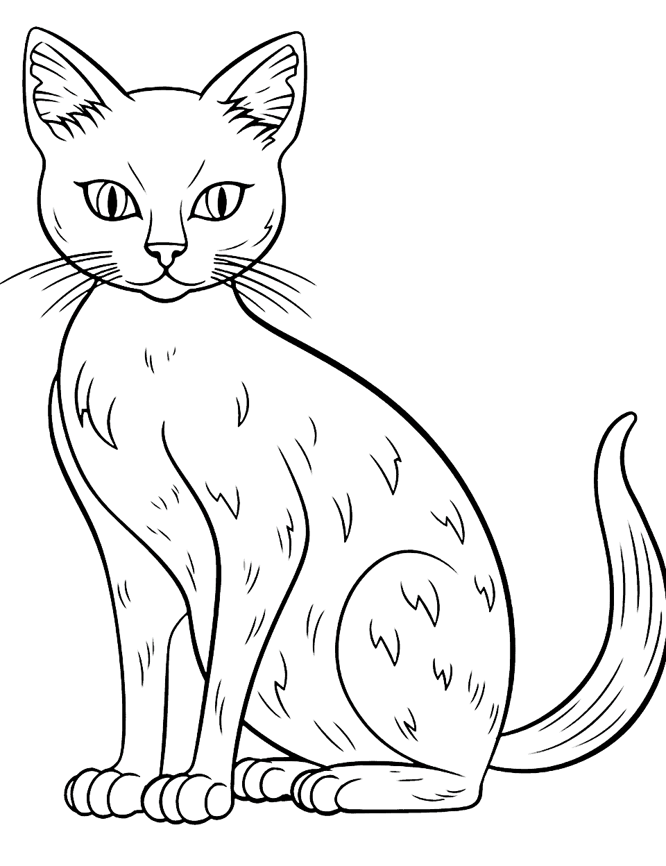 Cat coloring pages free printable sheets