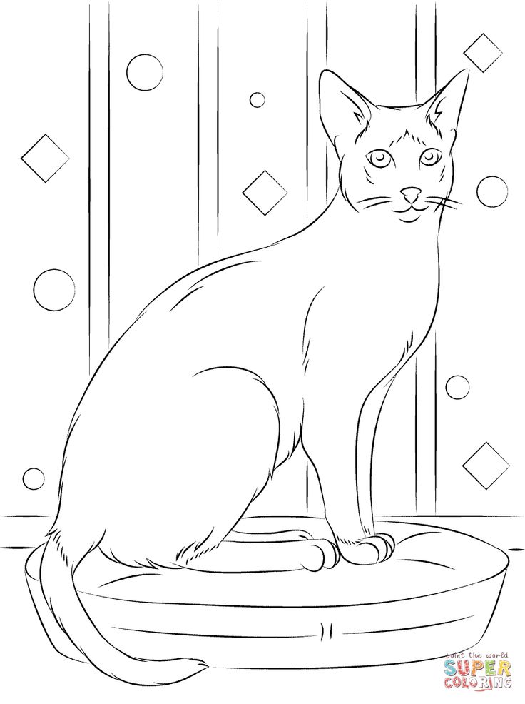 Sitting siamese cat cat coloring page dog coloring page valentines day coloring page