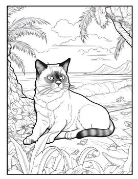 Siamese cats coloring book