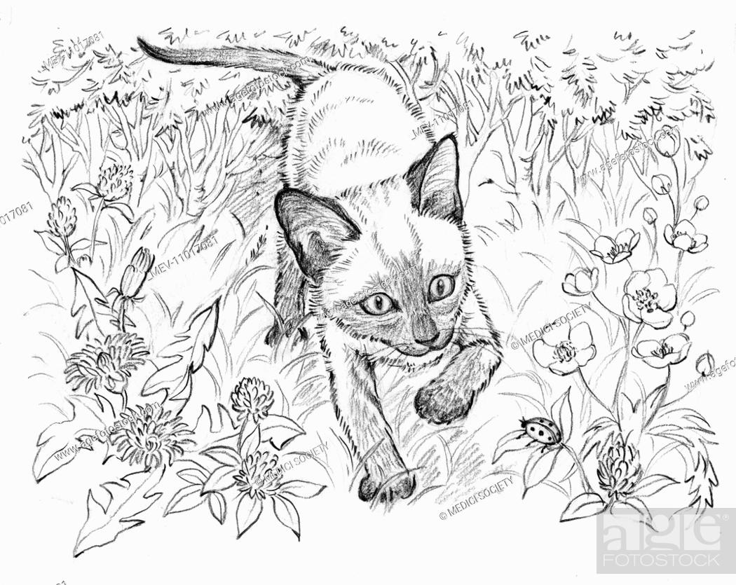 Ming meets the farm kittens colouring and story book