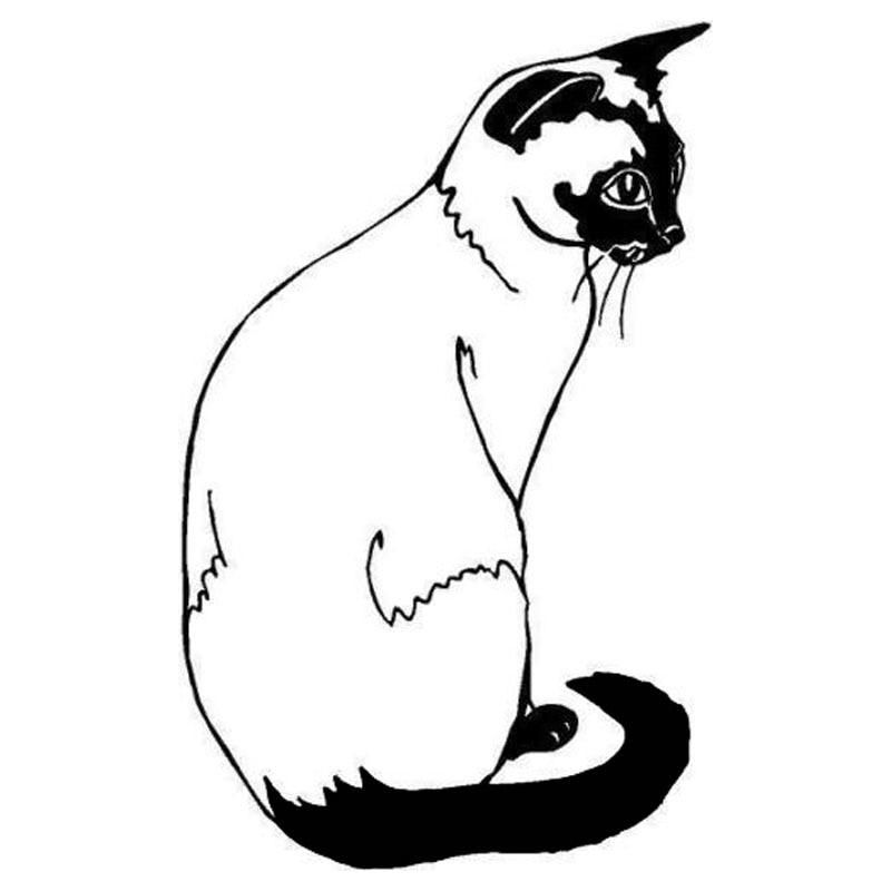 Cm siamese cat car sticker fashion car styling window glass decorative decals animal stickers c