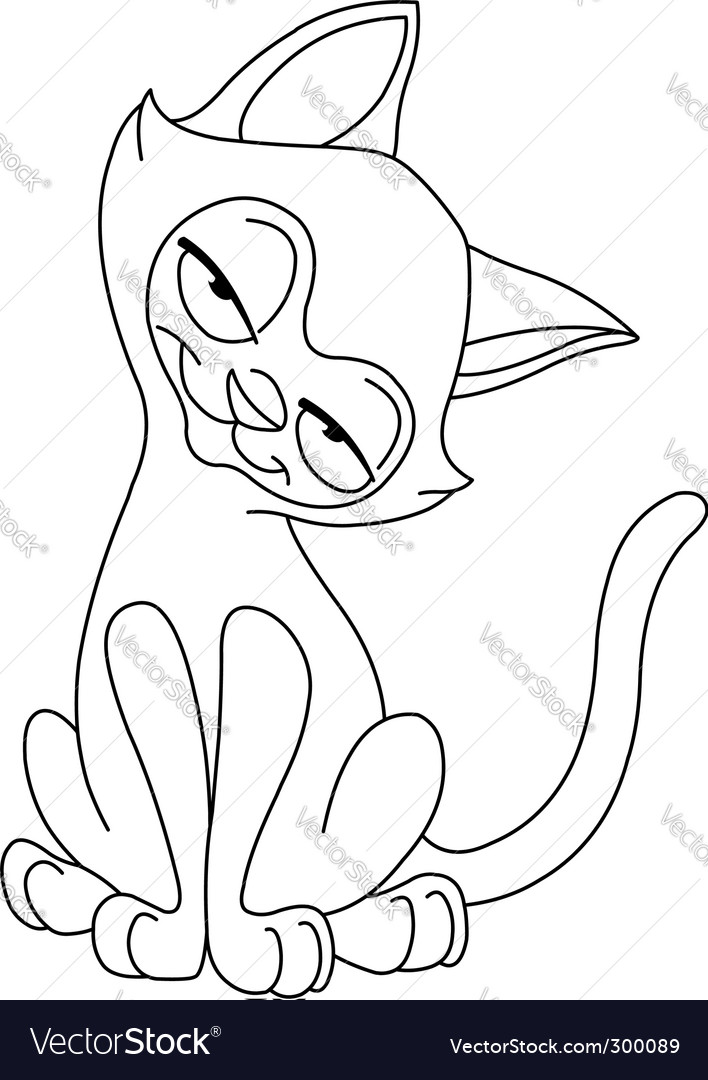 Siamese cat royalty free vector image