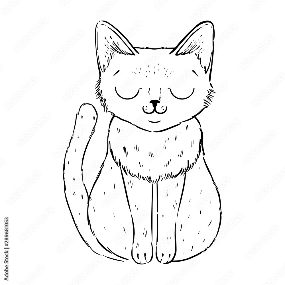 Coloring page with cartoon fluffy cat with roses siamese cat with closed eyes coloring book for adults and children illustration