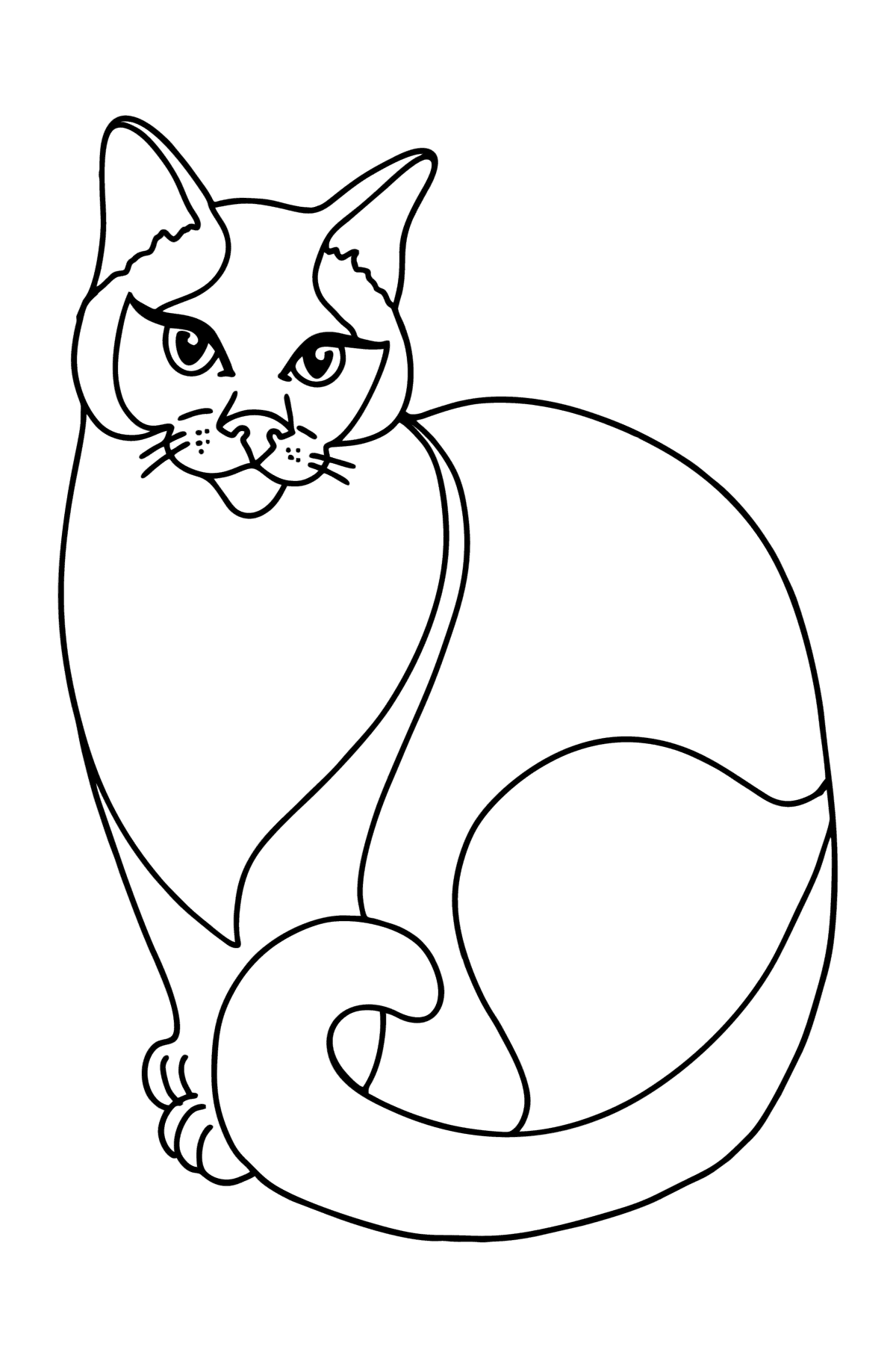 Siamese cat coloring page â online and print for free