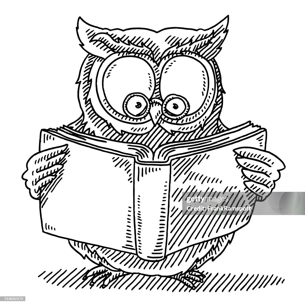 Wise owl reading book drawing high