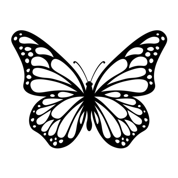 Butterfly stencil royalty