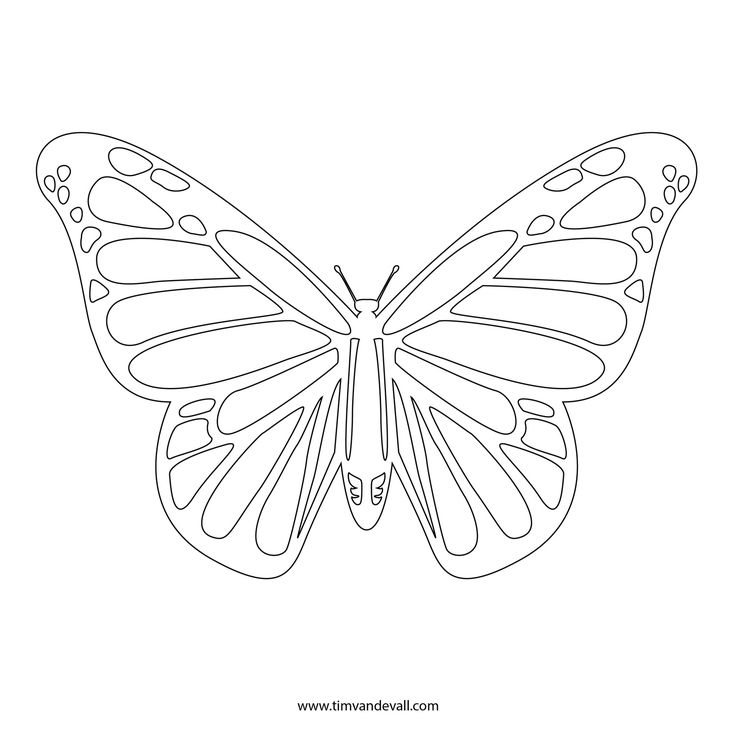 Butterfly outline butterfly stencil butterfly coloring page