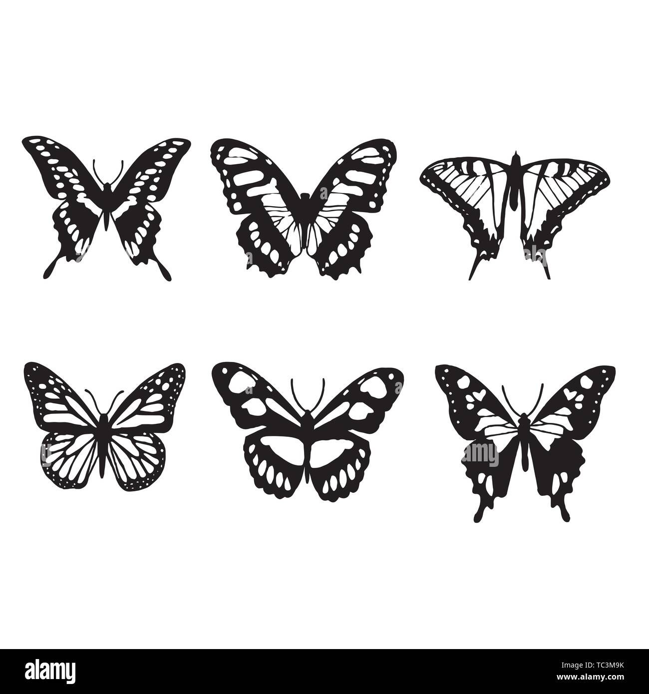 Insect butterfly outline vector nature coloring book insect butterfly outline vector nature coloring bookbutterfly silhouette icons set vector ill stock vector image art