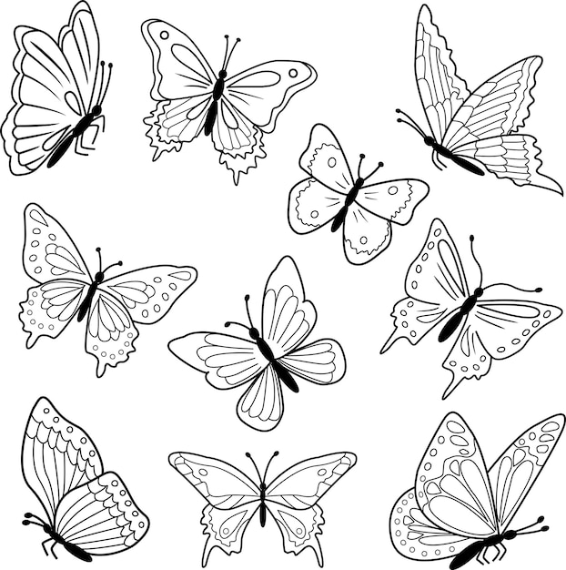Premium vector silhouette of vector flying butterflies isolated illustration of butterflies for coloring book