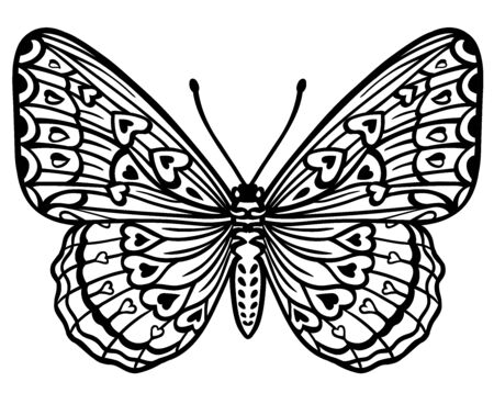 Adult coloring pages butterfly stock vector illustration and royalty free adult coloring pages butterfly clipart