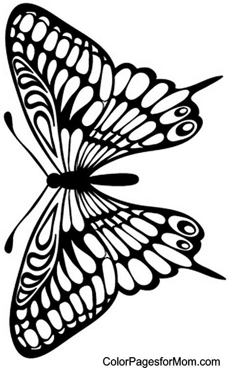 Butterfly coloring page butterfly coloring page coloring pages colorful butterflies