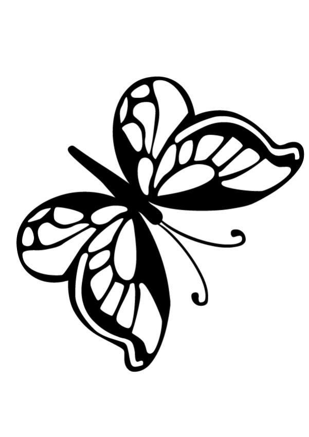 Beautiful butterfly coloring pages