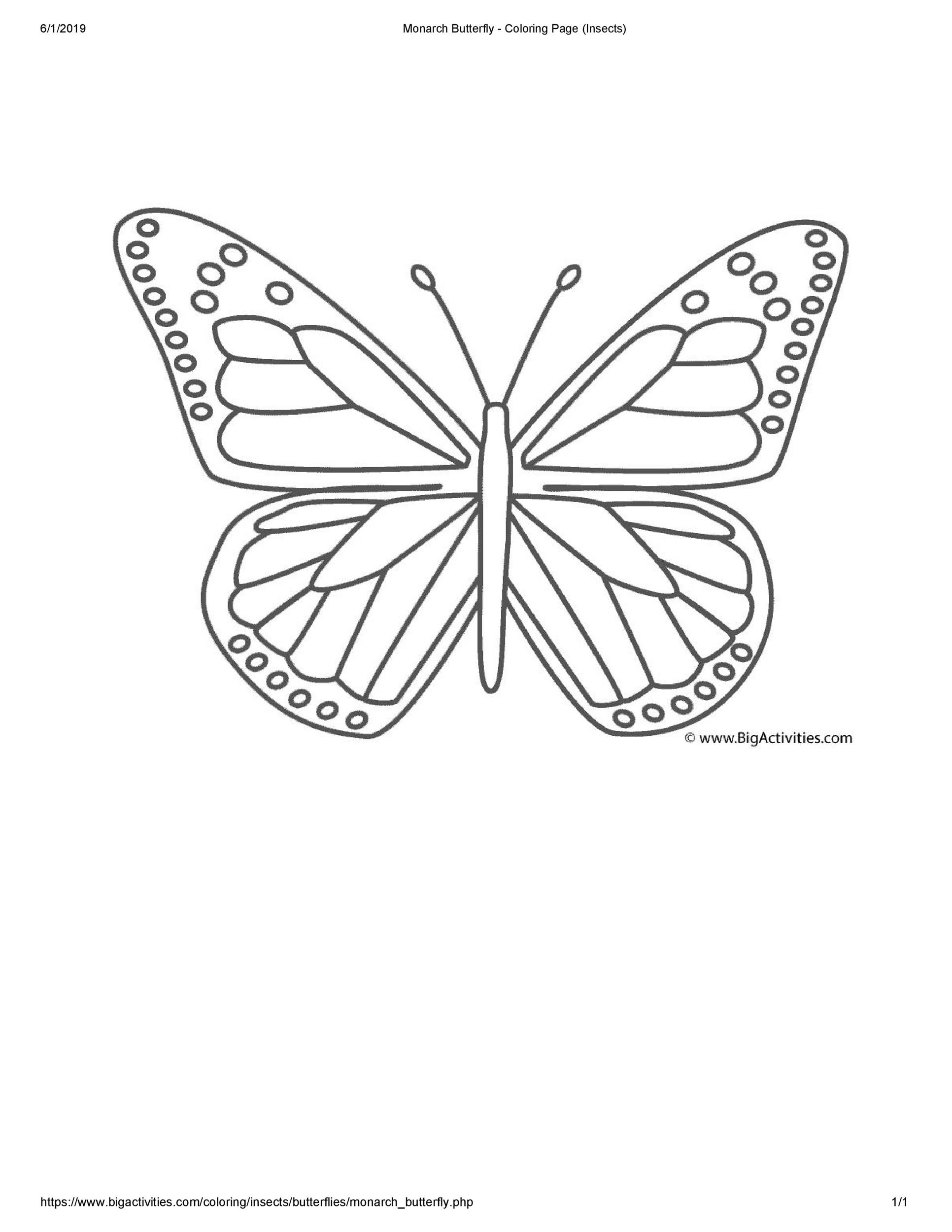 Printable cut out butterfly templates ð á