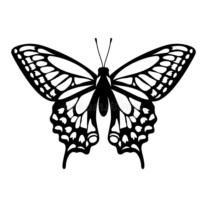 Butterfly stencil stock illustrations â butterfly stencil stock illustrations vectors clipart