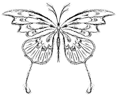 Butterfly silhouette background images hd pictures and wallpaper for free download