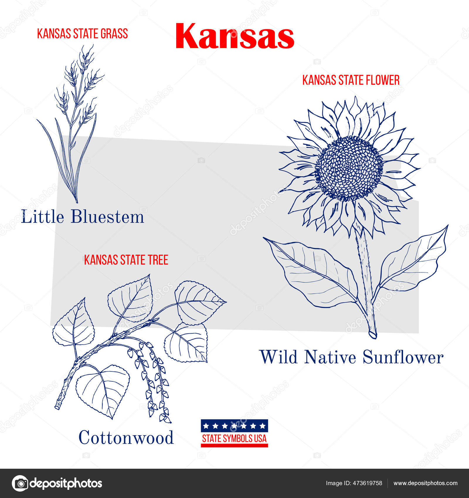 Kansas conjunto de sãmbolos estatales oficiales de eeuu vector de stock por foxyliam