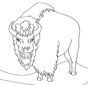 Us national symbols coloring pages free printable pictures