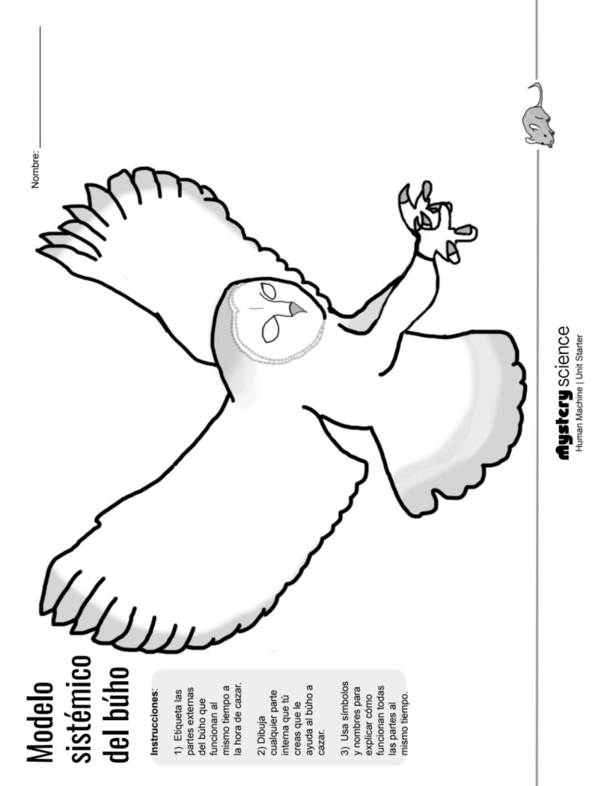 Mystery science document