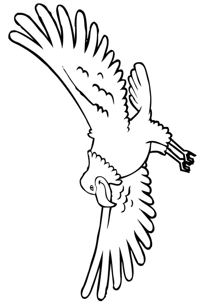 Bald eagle coloring pages