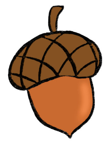 Acorn drawing easy steps