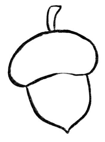 Acorn drawing easy steps