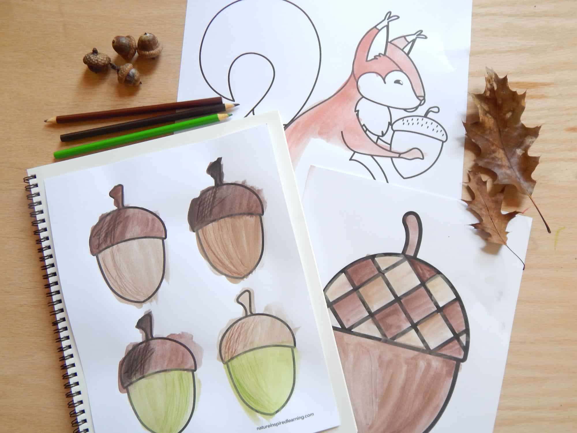 Acorn coloring pages perfect for autumn