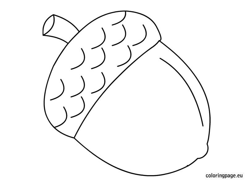 Delightful acorn coloring page