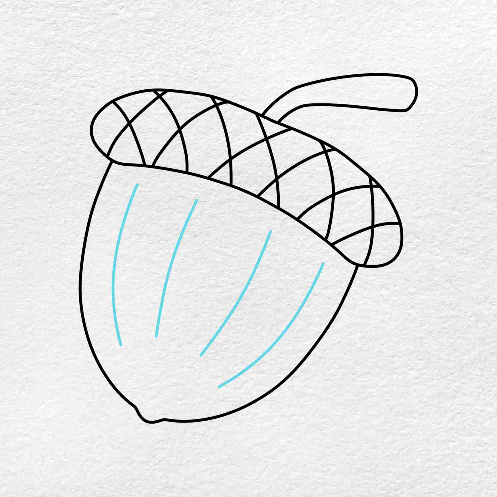 Draw an acorn