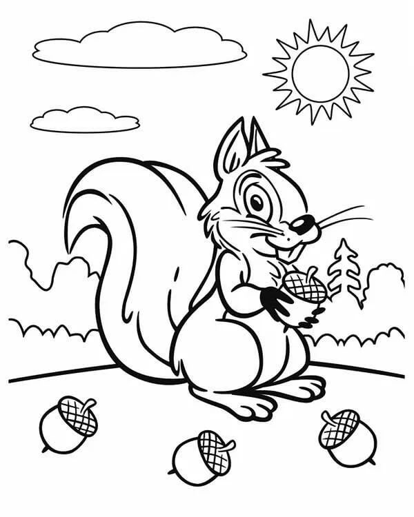 Acorn coloring pages