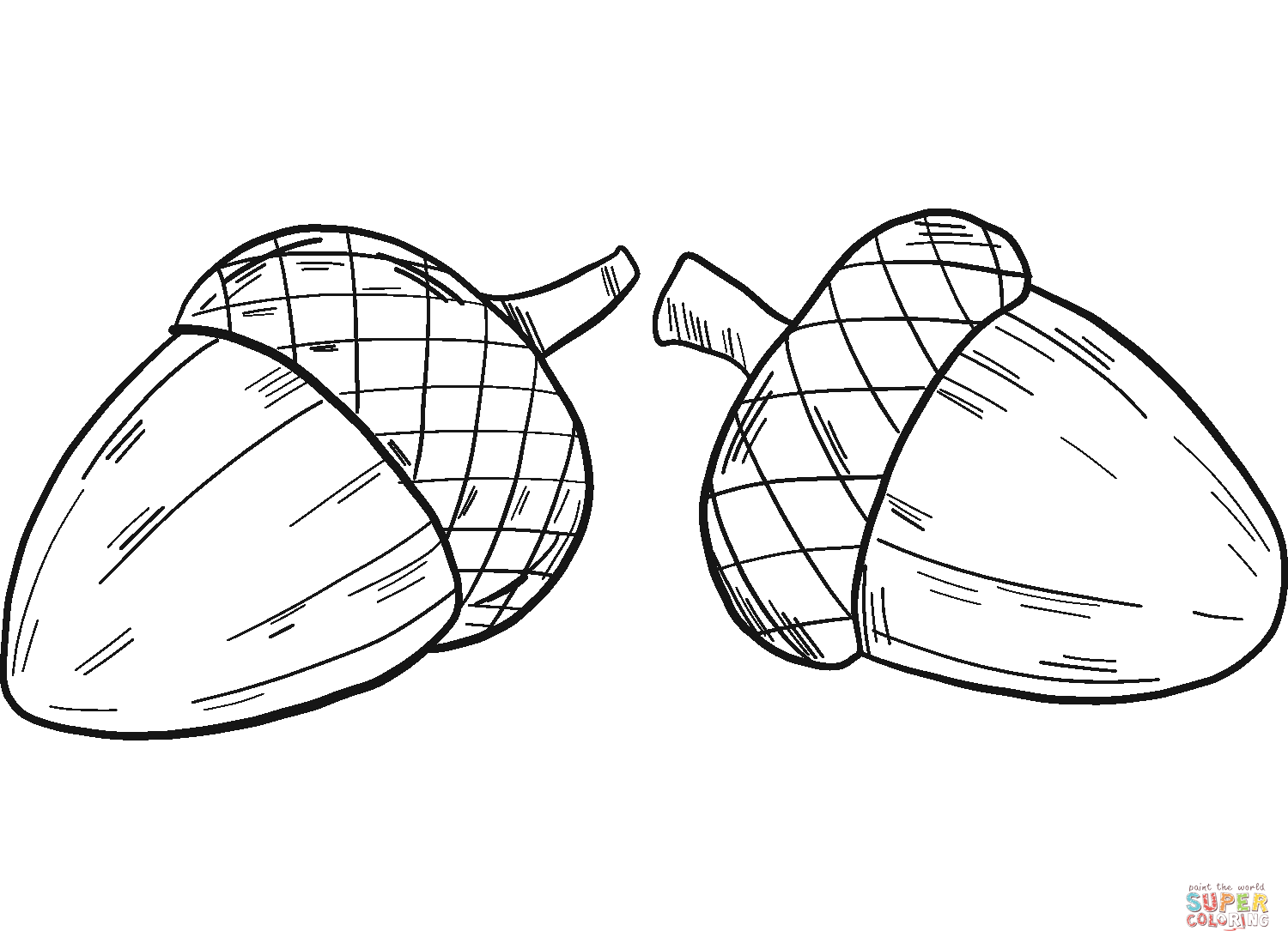 Two acorns coloring page free printable coloring pages