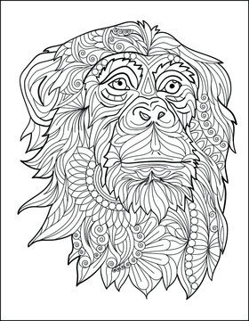 Lion coloring page for adults images â browse photos vectors and video
